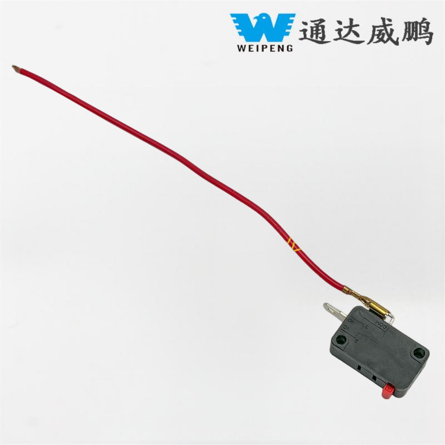 وائرڈ مائیکرو سوئچ کے ساتھ کار واش مشین