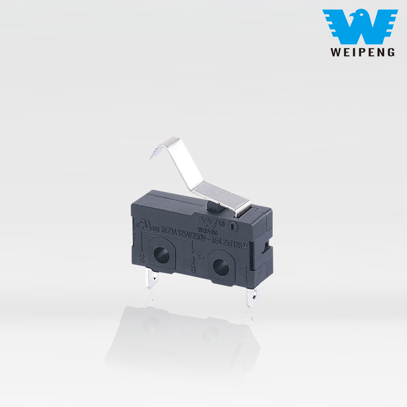 HK-04G-L ڈسٹ پروف 5A ایگ بیٹر منی ایچر مائیکرو سوئچ